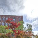 ● 2025년 1020 (월) 정동제일교회 월요음악회 2 이미지