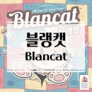 스피드게임 | 빠른 두뇌 회전과 스피드가 핵심인 귀여운 퍼즐 게임 블랭캣 보드게임 개봉기 &amp; 플레이 후기