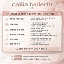 (상반기)발레핏 네이버블로그