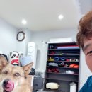 허리케인권투체육관 이미지