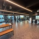 드래곤 H 짐 이미지