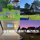 제주에펜션103 | 제주 애견동반 독채 펜션 애월 제주멍멍플레이스 애견펜션 내돈내산 후기