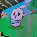 내사랑댕댕이 | 강남 팝업스토어 오늘의 귀여움 class 라인프렌즈 플래그십 스토어 후기