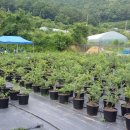 형제천막 이미지