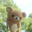 스테이골드(staygold) 이미지