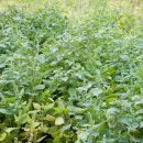 원통노인회관 이미지