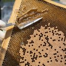 분도농장 이미지