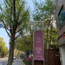 [삼성동] 힐링되는 일리부티크 12boutique 에서 속눈썹 연장