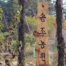 충남농원염소 이미지