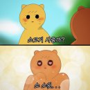 강릉실비식당 이미지