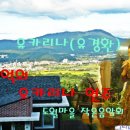 밝은동산 이미지