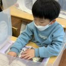 플럼트리 이미지