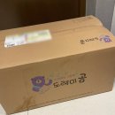 도레미어린이집 | 내돈내산 유아전집 그레이트북스 2025 도레미곰 두돌 세돌 추천 솔직후기