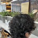 디자인연우 | 천안 신부동 남자히피펌 잘하는 헤어샵 CHOP헤어 미용실 연우실장