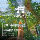 [경기 양평] 서울 근교 양평 - 미리내힐빙클럽 내돈내산 후기!