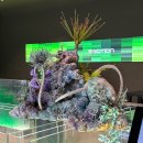 신남초등학교 | 화성 카페 데이트 미디어아트 대형카페 섹션