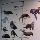 36 | 부산 해운대구 씨라이프부산 아쿠아리움 후기