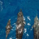 (주)앤유 이미지