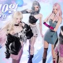 퍼피스타일 이미지