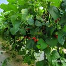 택근농장 이미지