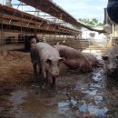 두배로농장 이미지