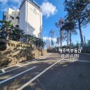 신효동-5 이미지