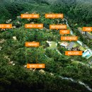 포레스트리솜 이미지