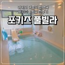 포키즈풀빌라A | 경주 감포 포키즈풀빌라 A동 후기💙 어른아이 모두 만족한 키즈풀빌라