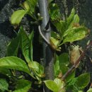 오미자 화장실 이미지