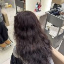 강서미래퀵서비스 | 마곡 미용실 다올헤어 마곡발산점 친환경 두피 케어 기반 세련된 스타일 완성법