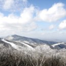 신기루처럼 피어나는 눈꽃세상을 찾아...백운산 하이원 하늘길 트래킹.2/15(일) 이미지