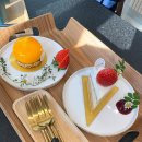 다옴케이크(daom cake) | [동해/천곡동/카페] 동해시 카페 | 동해 케이크 맛집, 다옴 케이크(DAOM CAKE)