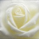 심상의 풍경 이미지