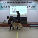 정남농촌체험휴양마을 | 동물매개치료사 자격증 실습 후기