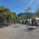 숲속에 머물다 이미지