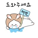 봄의 플로라 네이버블로그