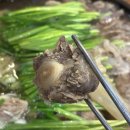 황해수육 | 고잔동맛집 안산 고잔동 수육 황해수육 안산점 먹고 온 후기