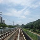용인 데이트 코스, 용인중앙시장 맛집 평원집 족발 순대국 내돈내산 솔직후기