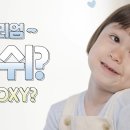 그레이프Grape