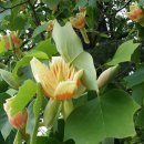 행정사 김동진 사무소 이미지