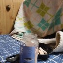 전갱이 <b>통</b>살트릿 (할배를 추모하는 2030여성 <b>이사</b>님들의...