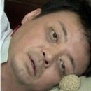 해궁회센타