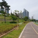 왕숙천변 이미지