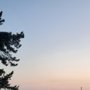 크란츠러 이미지