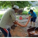 봉양중학교 이미지