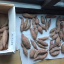 마리네 농장 이미지