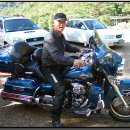 느티나무(주) 이미지