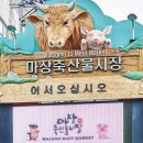 싱싱축산물 이미지