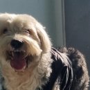 혜성세차장 이미지