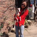 루체안경원 이미지